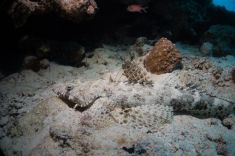 Hurghada - Abu Ramada South 1875627