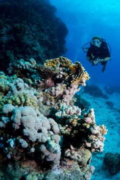 Hurghada - Gota Abu Ramada - West 1875630