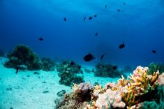 Hurghada - Gota Abu Ramada - West 1875630