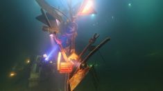 4227882