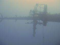 314746