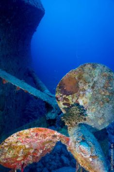 398206