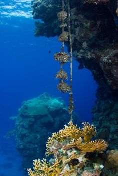 518304