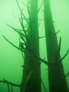 642373