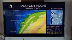 1530516