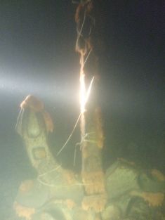 263302