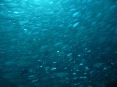 104966