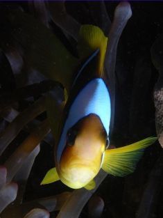 110297