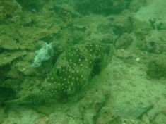 90840