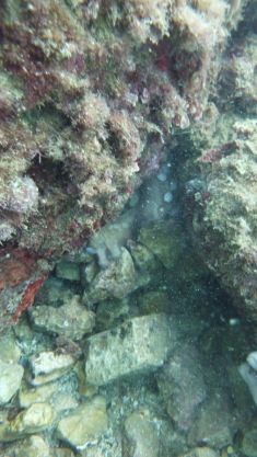 2809419