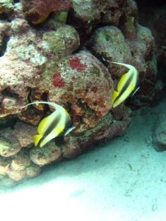60519