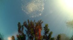 75859