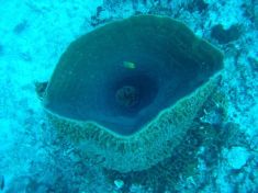 91048