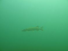 122829